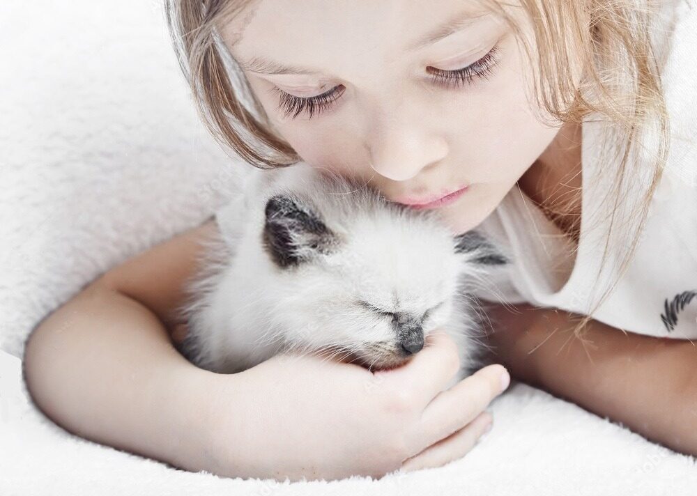 girlandcat